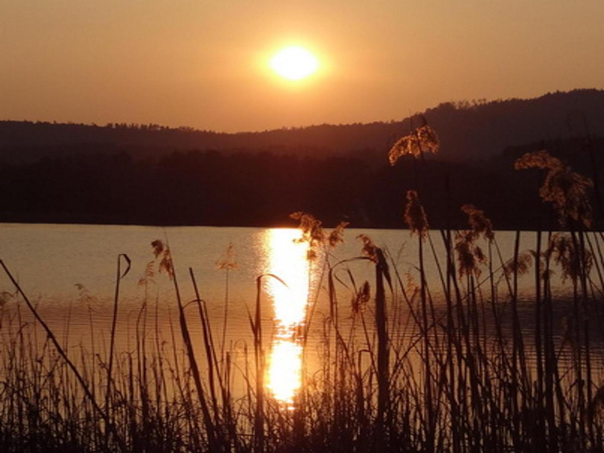 Ilsenhof Am Turnersee Obersammelsdorf Luaran gambar