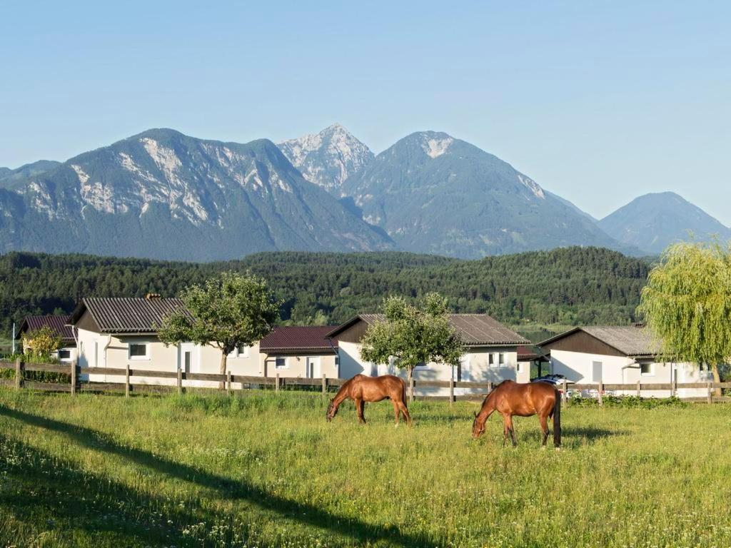 Ilsenhof Am Turnersee Obersammelsdorf Luaran gambar